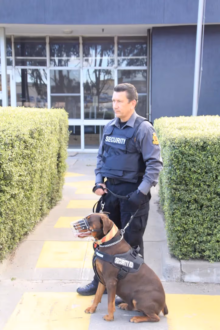 K9 Security Services