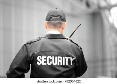 Understanding the Role of Private Security Guards in Emergency Responses