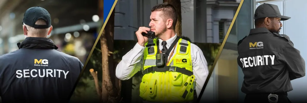 Professional Security Team